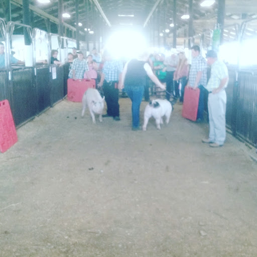 General Store «Wilderness General Store», reviews and photos, 9220 Plank Rd, Spotsylvania, VA 22553, USA