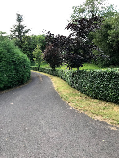Erne Lawn Care & Gardening Services