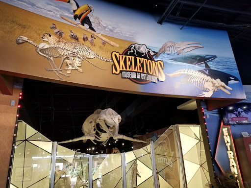 Museum «SKELETONS: Museum Of Osteology», reviews and photos, 8441 International Dr Suite 250, Orlando, FL 32819, USA