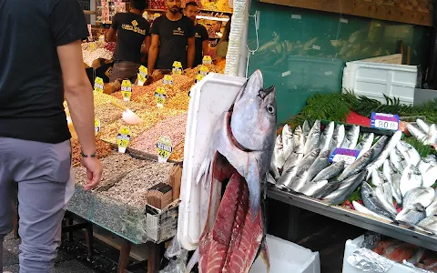 Fresh Fish image