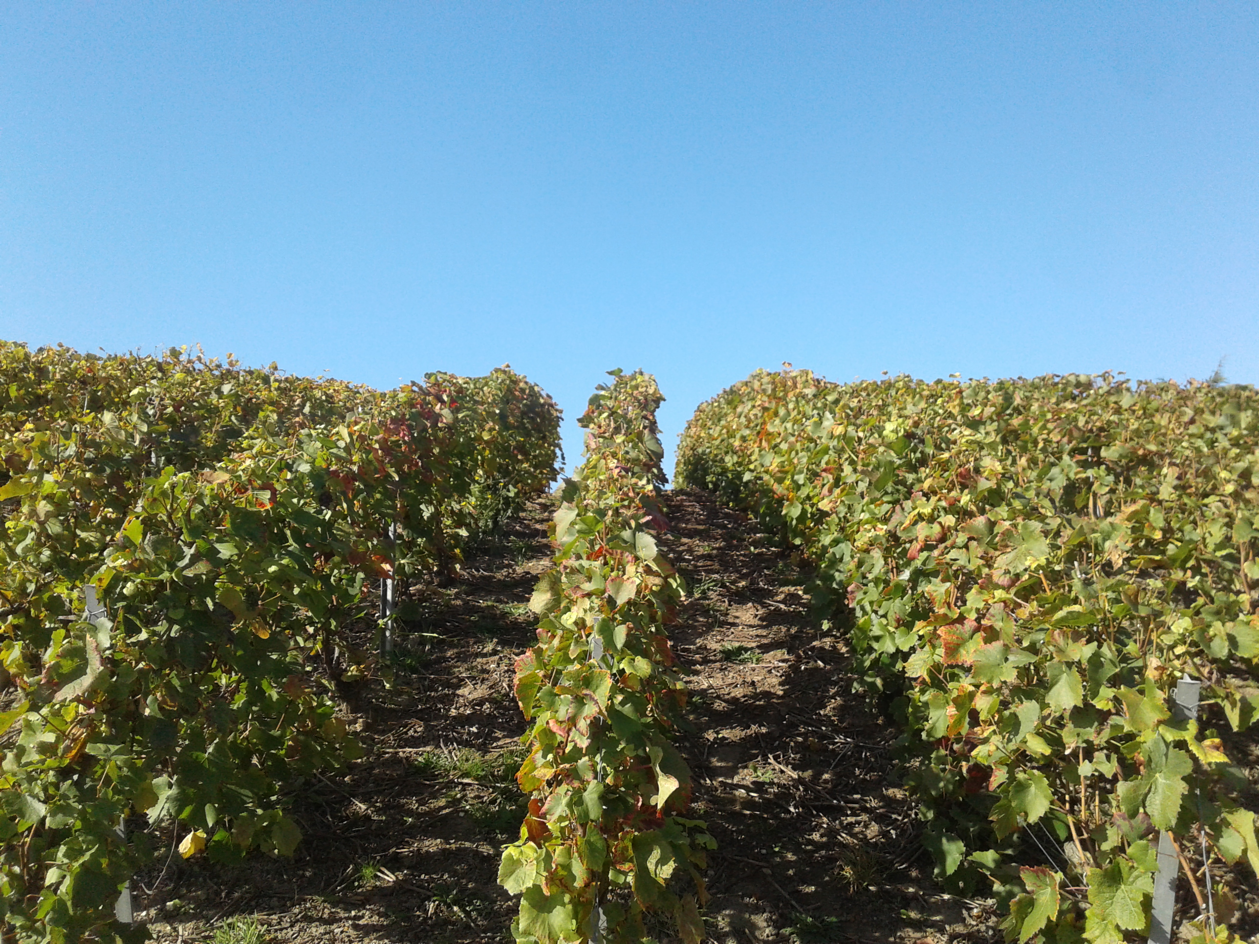 Photo n° 1 de l'avis de Marianne.a fait le 22/10/2021 à 23:08