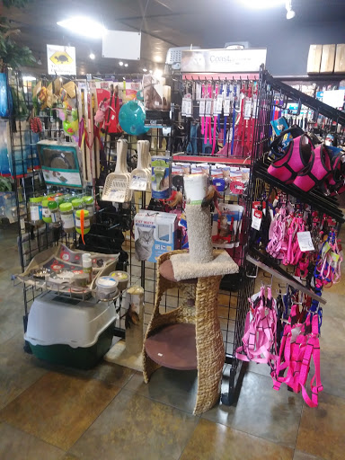 Pet Store «Pet Kingdom», reviews and photos, 4650 S Cleveland Ave, Fort Myers, FL 33907, USA