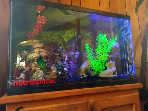 Pet Store «A to Z Pets», reviews and photos, 16010 SE Division St, Portland, OR 97236, USA