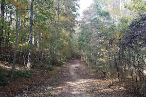 Holly Springs Greenway trail