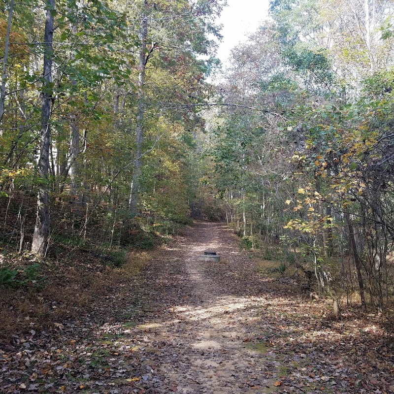 Holly Springs Greenway trail