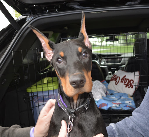 Pet Supply Store «The Natural Pet Enrichment Center», reviews and photos, 6720 Royalton Rd, North Royalton, OH 44133, USA