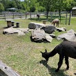 Barnyard Zoo