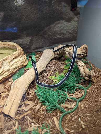 Pet Store «Super Pets», reviews and photos, 9403 E Las Tunas Dr, Temple City, CA 91780, USA