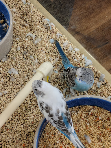 Pet Supply Store «Pet Supermarket, Inc.», reviews and photos, 598 N McCarran Blvd, Sparks, NV 89431, USA