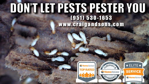 Craig & Sons Termite and Pest Control, Inc