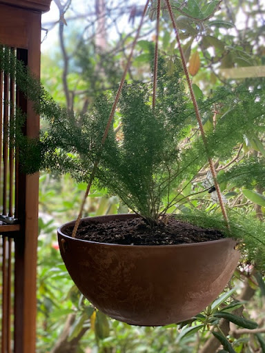 Florist «Park Place Florist and Garden Center», reviews and photos, 72 Park St, Rutland, VT 05701, USA