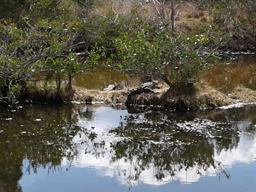 Community Center «Campbell Community Center», reviews and photos, 701 South St, Titusville, FL 32780, USA