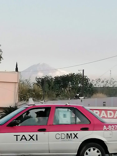 Servicio eléctrico "EL GUERO"
