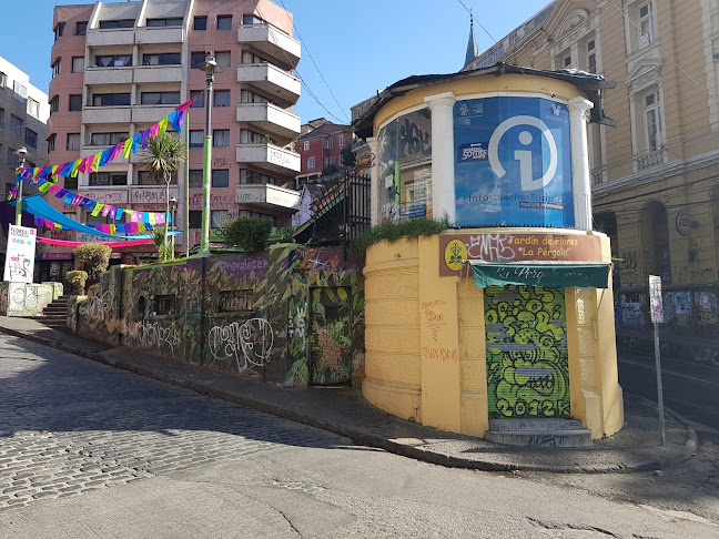 Jardin Primavera - Floresyalgomas.cl Local 2 Valparaiso