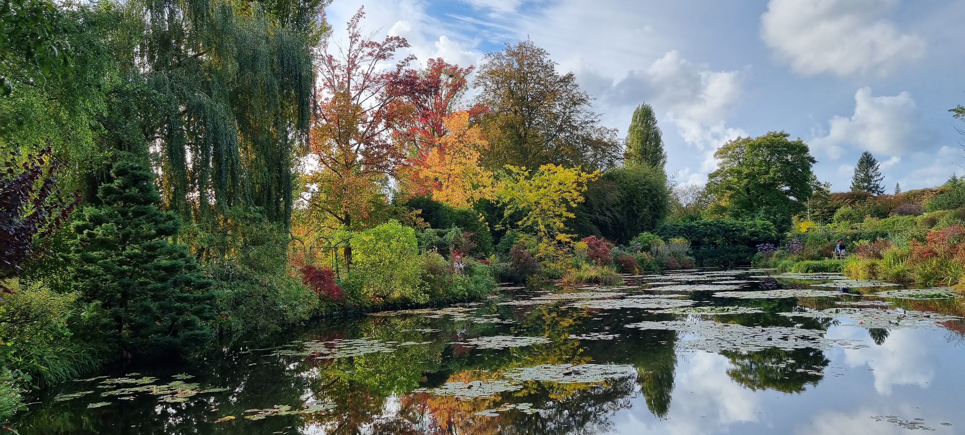 Photo n° 19 de l'avis de lemagicien40. fait le 03/11/2023 à 07:28