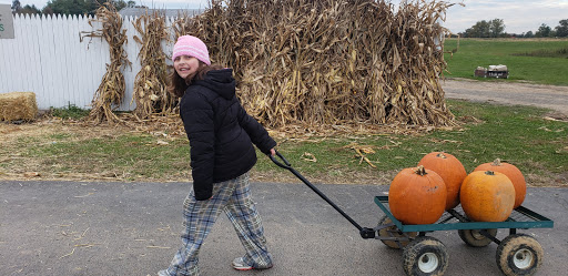 Produce Market «Solly Brothers», reviews and photos, 707 Almshouse Rd, Warminster, PA 18974, USA