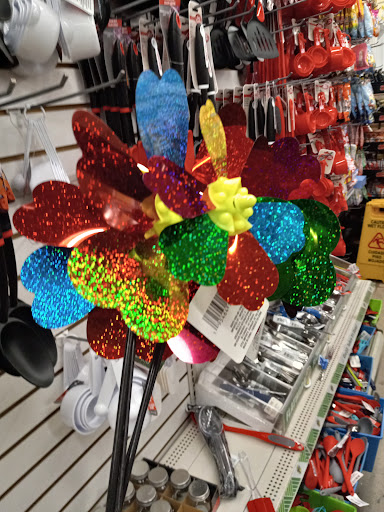 Dollar Store «Dollar Tree», reviews and photos, 1952 State Rd 44, New Smyrna Beach, FL 32168, USA