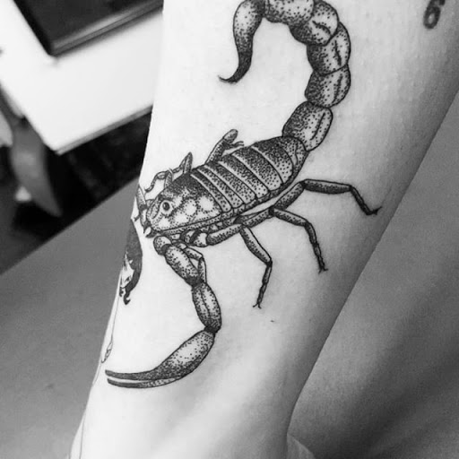 Tattoo Shop «Dark Horse Tattoo», reviews and photos, 1305 Stewart St, Seattle, WA 98109, USA