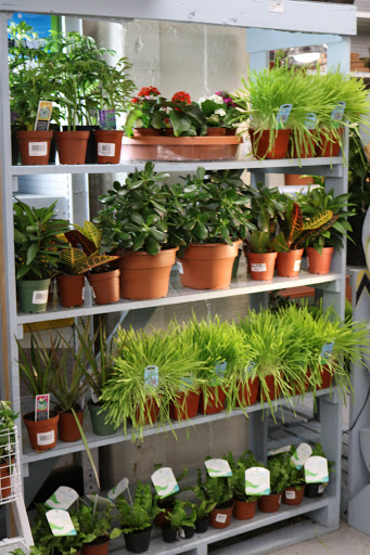 Hardware Store «Tenleytown Ace Hardware», reviews and photos, 4500 Wisconsin Ave NW, Washington, DC 20016, USA