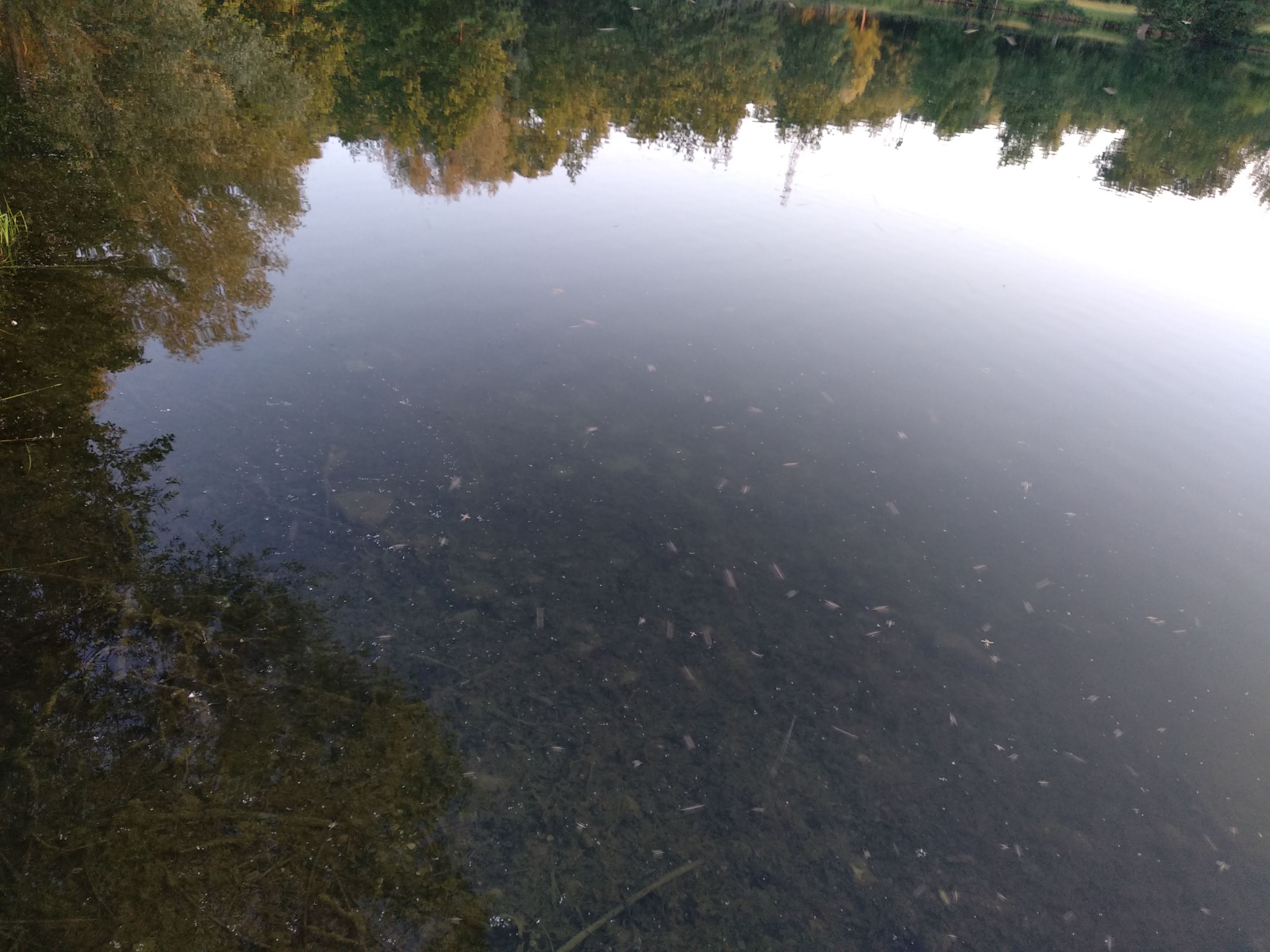 Photo n° 3 de l'avis de Taras.a fait le 17/06/2019 à 05:19