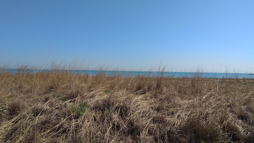 Golf Course «Jackson Park Golf Course», reviews and photos, 6401 S Richards Dr, Chicago, IL 60649, USA