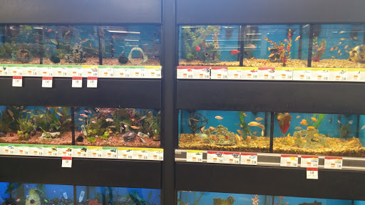 Pet Supply Store «Pet Supplies Plus», reviews and photos, 800 Linton Blvd, Delray Beach, FL 33444, USA