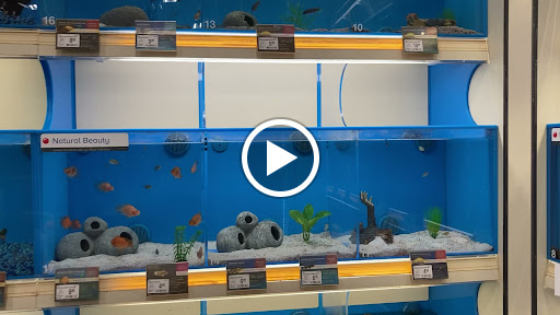 Pet Supply Store «PetSmart», reviews and photos, 400 Universal Dr N, North Haven, CT 06473, USA