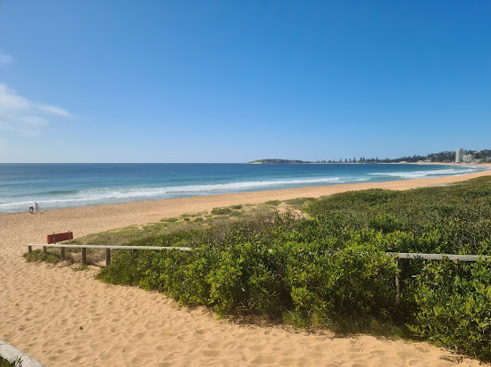 Narrabeen Beach