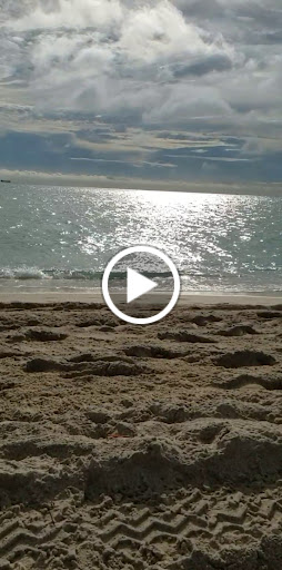 Pet Supply Store «Petco Animal Supplies», reviews and photos, 1121 5th St, Miami Beach, FL 33139, USA