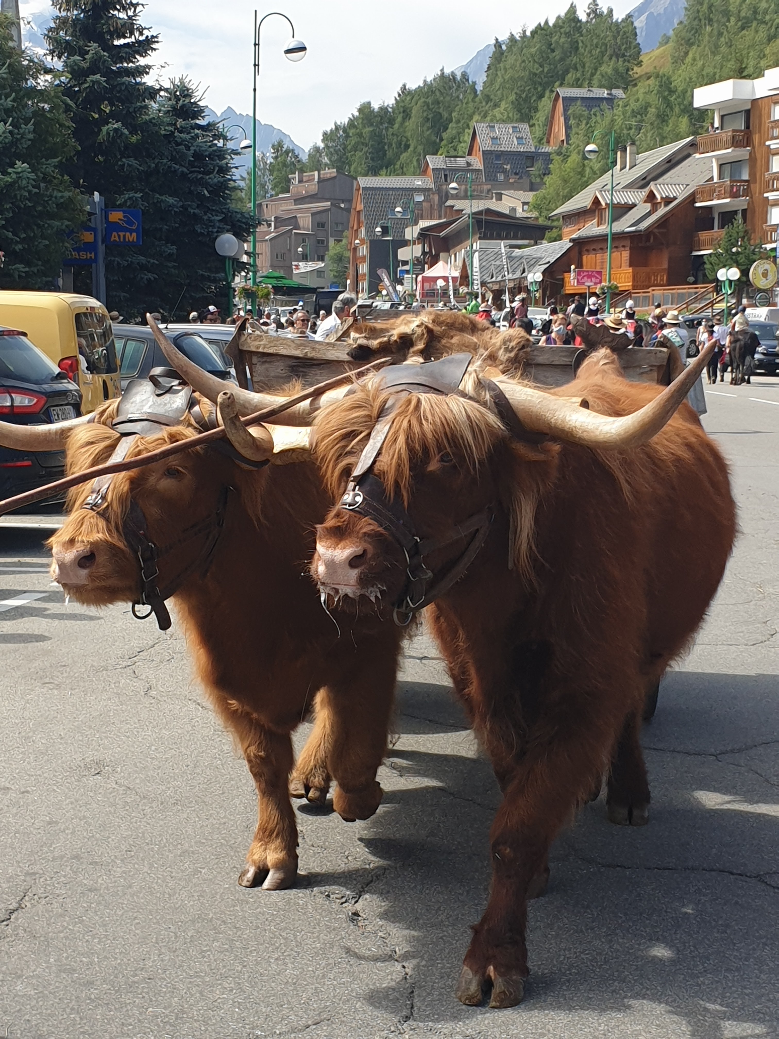 Photo n° 1 de l'avis de Patricia.o fait le 28/10/2020 à 14:35