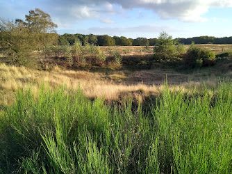 Goois Natuurreservaat Tafelbergheide