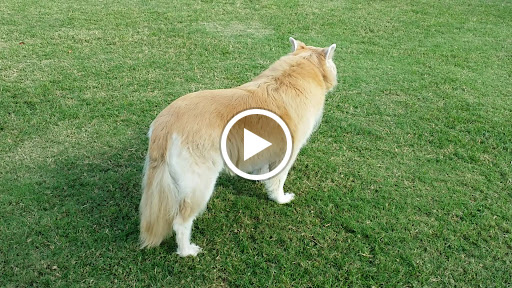 Park «Paradise Valley Park», reviews and photos, 17642 N 40th St, Phoenix, AZ 85032, USA