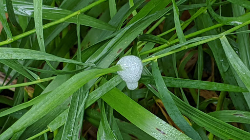 Nature Preserve «Sweedler and Thayer Preserves», reviews and photos, 10 Townline Rd, Ithaca, NY 14850, USA