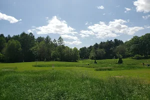 Anna R Page Forest Preserve image