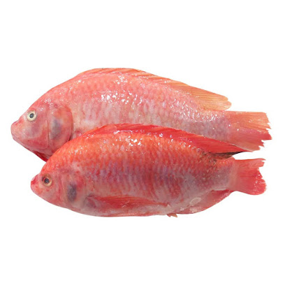 Dolgi fish Pescadería