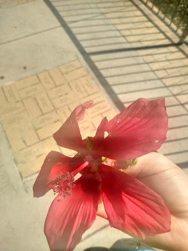 Art Museum «San Antonio Museum of Art», reviews and photos, 200 W Jones Ave, San Antonio, TX 78215, USA