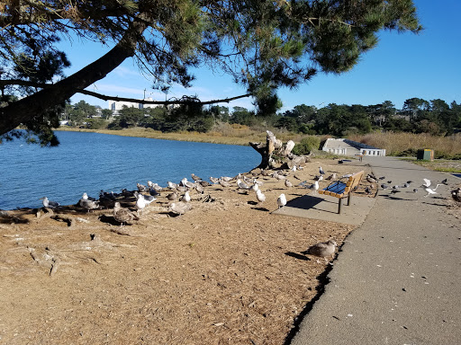 Park «Lake Merced Park», reviews and photos, Skyline Blvd & Harding Rd, San Francisco, CA 94132, USA