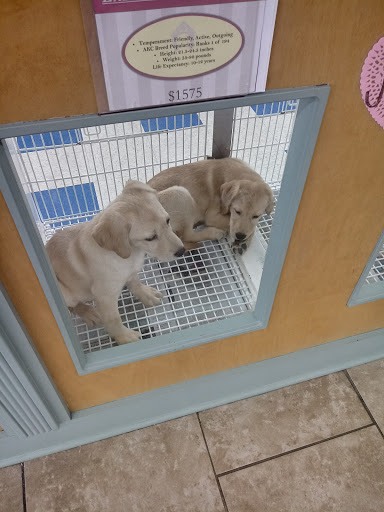 Pet Store «Happiness Is Pets Vi», reviews and photos, 616 E Roosevelt Rd, Lombard, IL 60148, USA