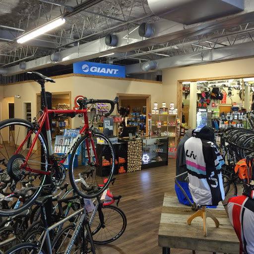 Bicycle Store «Asheville Bicycle Company», reviews and photos, 1000 Merrimon Ave, Asheville, NC 28804, USA