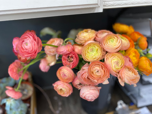 Florist «Kent Floral Co.», reviews and photos, 1109 S Water St, Kent, OH 44240, USA