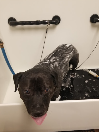 Pet Supply Store «EarthWise Pet Panama City», reviews and photos, 632 W 23rd St, Panama City, FL 32405, USA