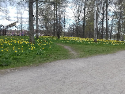 Växjö volleybollplaner