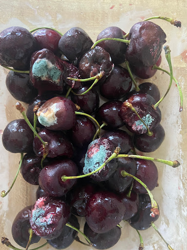 Supermarket «Super Stop & Shop», reviews and photos, 40 Furlong Dr, Revere, MA 02151, USA