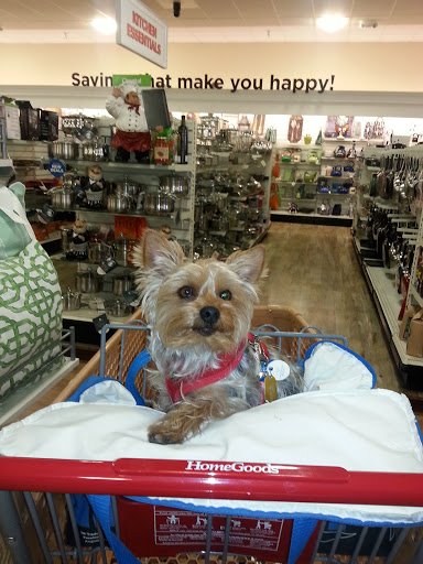 Department Store «HomeGoods», reviews and photos, 2950 St Rose Pkwy, Henderson, NV 89052, USA