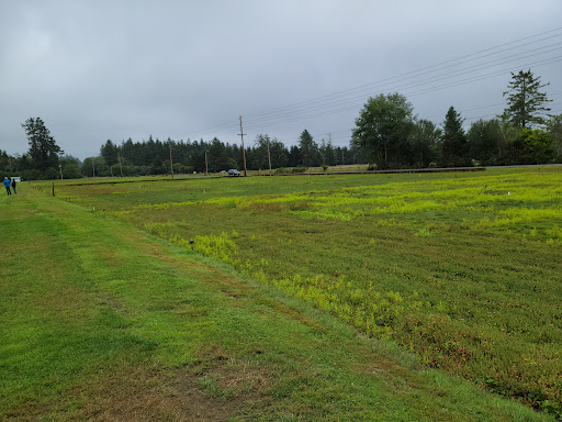 Museum «Cranberry Museum», reviews and photos, 2907 Pioneer Rd, Long Beach, WA 98631, USA
