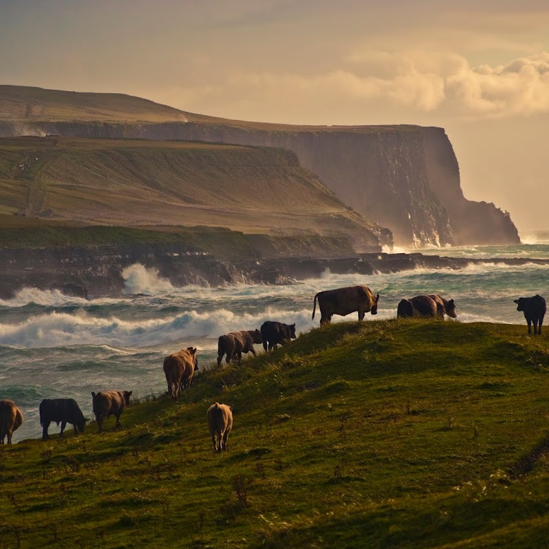 Cycle Holidays Ireland