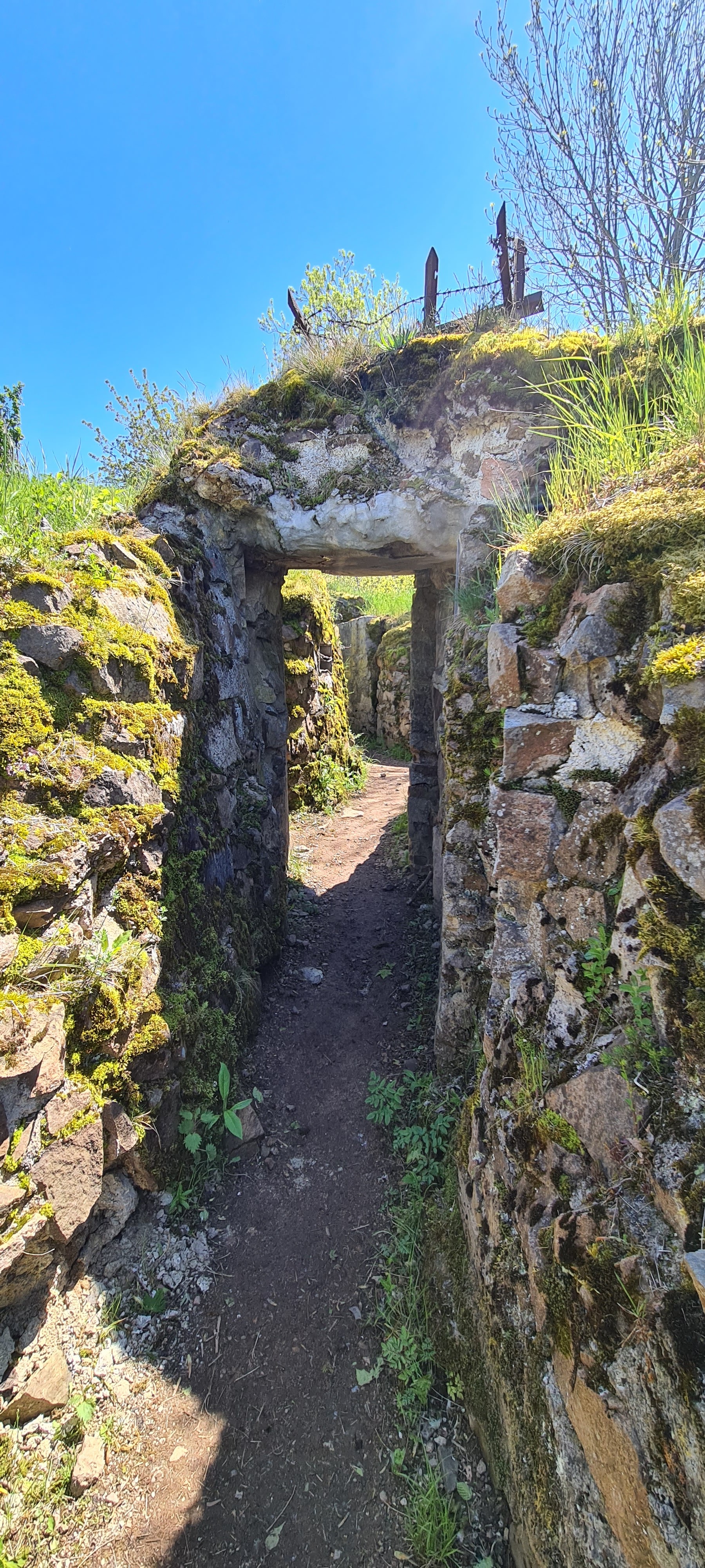 Photo n° 11 de l'avis de Jean.r fait le 29/05/2021 à 15:01