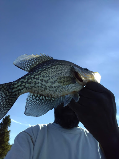 Park «Kapok Park», reviews and photos, 2950 Glen Oak Ave N, Clearwater, FL 33759, USA