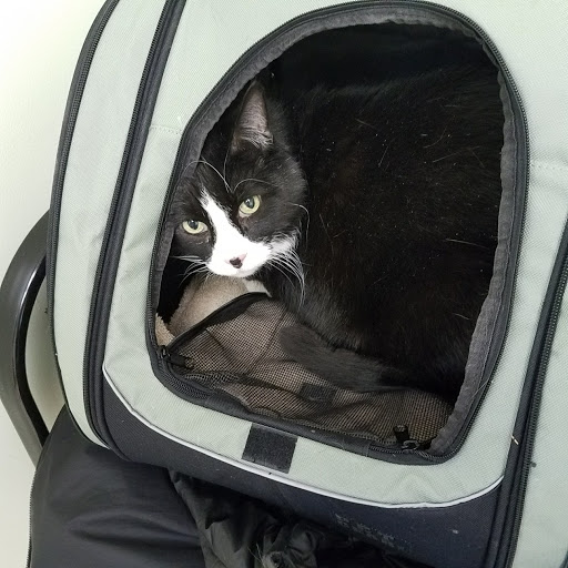 635 E 200th St, Cleveland, OH 44119, USA