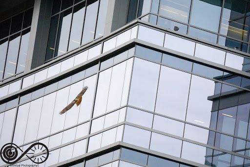 Insurance Company «Metlife GTO», reviews and photos